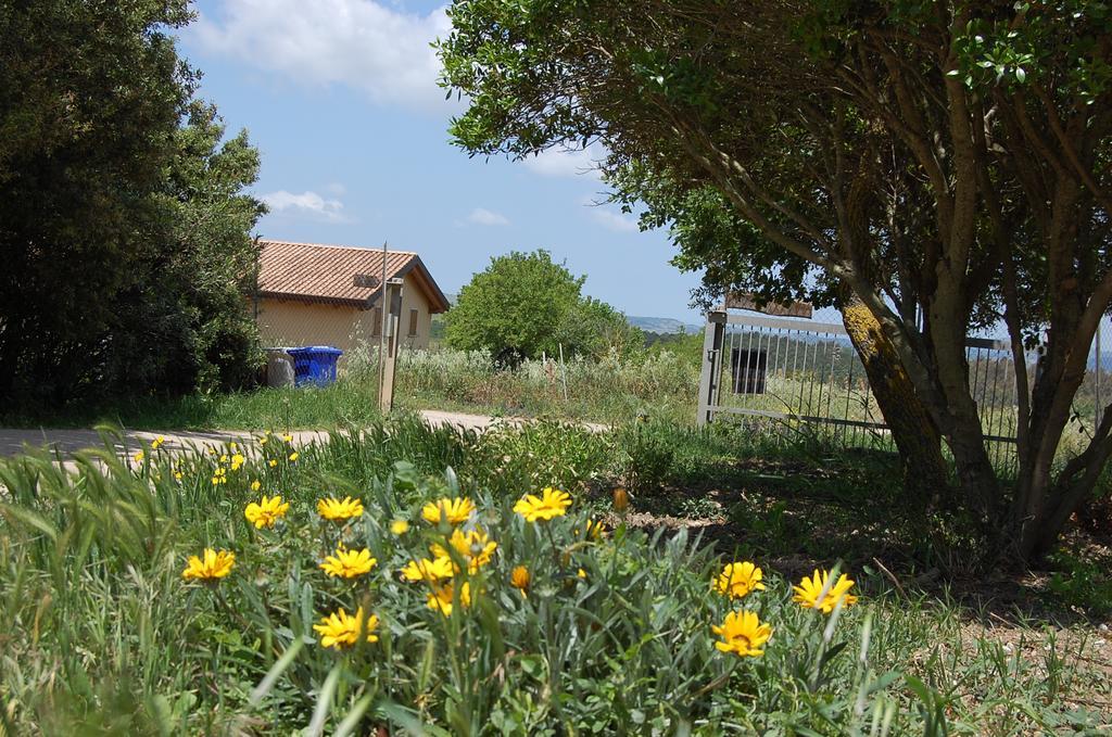 Nurallào Agriturismo Furfullanuヴィラ エクステリア 写真