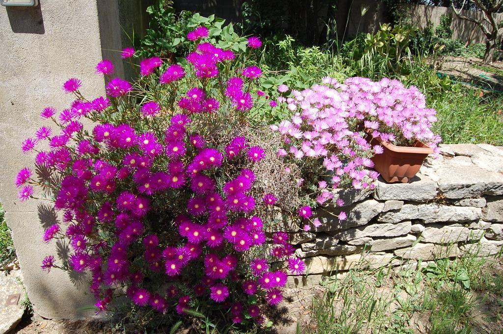 Nurallào Agriturismo Furfullanuヴィラ エクステリア 写真